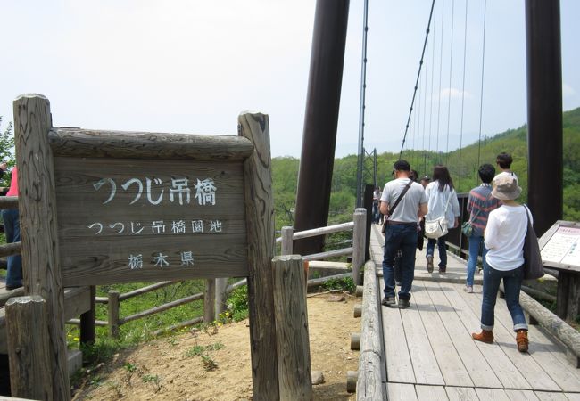 つつじ吊橋