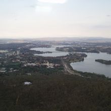 タワーよりキャンベラ中心部を眺める！