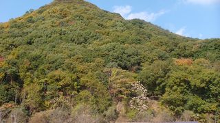 紅葉が綺麗でした