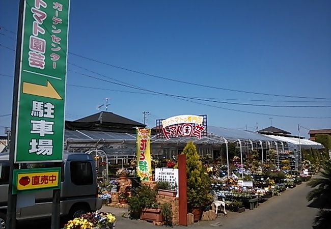 花とトマトの専門店 トマト園芸 クチコミ アクセス 営業時間 越谷 フォートラベル