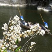 和船で川下りは情緒があって楽しそう