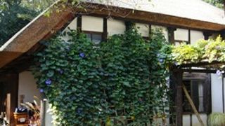 絶妙な和洋折衷