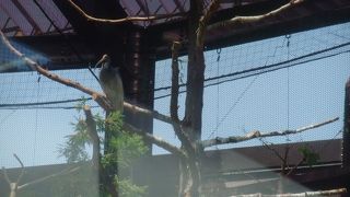 タイミングがよければ・・・