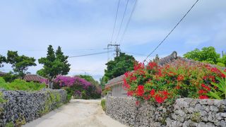 竹富島上陸したらドラマ撮影してた