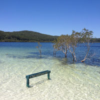 歩いて誰もいないマッケンジー湖ビーチへ（メインビーチは別