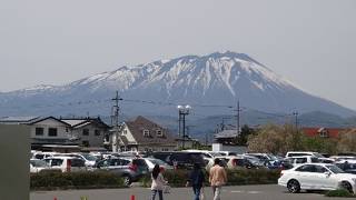 若冲が来てくれました―プライスコレクション