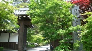 新緑の季節も素敵です