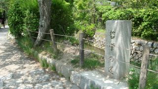 日本の道100選にも選ばれている散歩道