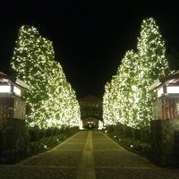 夜のライトアップ