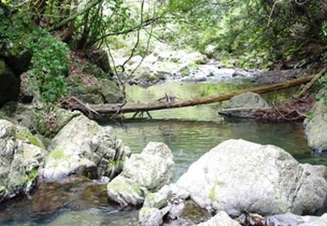 貴重な清流と渓谷