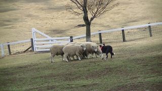 のんびり一日楽しめます。