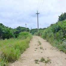島仲浜から灯台へ。遠くに灯台が見えます。
