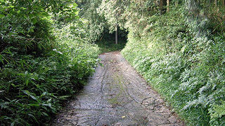 冷水峠 (長崎街道)