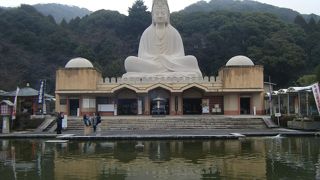 気にはなっていた