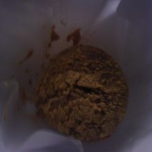 芳光のわらび餅、暗い写真ですみません。