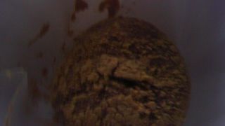 とろーりおいしいわらび餅でした：芳光