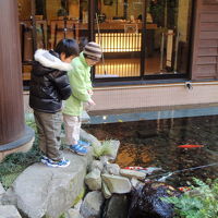 鯉やアヒルのえさを買ってあげることも出来ます。