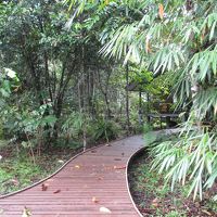 ロッジの前の木道。