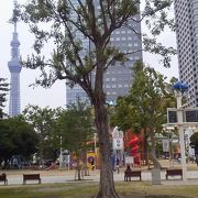 都会での憩いのスポット、スカイツリーもよく見える「錦糸公園」～錦糸町～