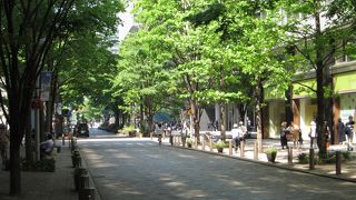 平日と土日では別の顔。