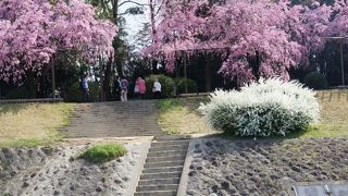 おにぎり型の飛び石！