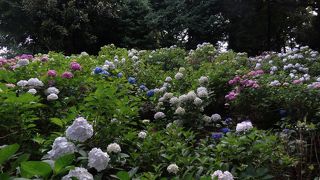 歩きますが、見ごたえあり！