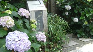 振り向いて！・・史跡井戸です。今は紫陽花ですが・・