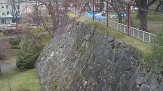 ゴールデンウィークには桜まつりが開かれます