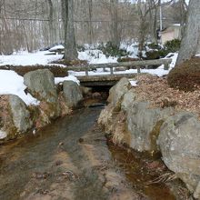 公園内を流れる小川