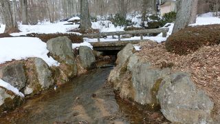 公園内に川がある