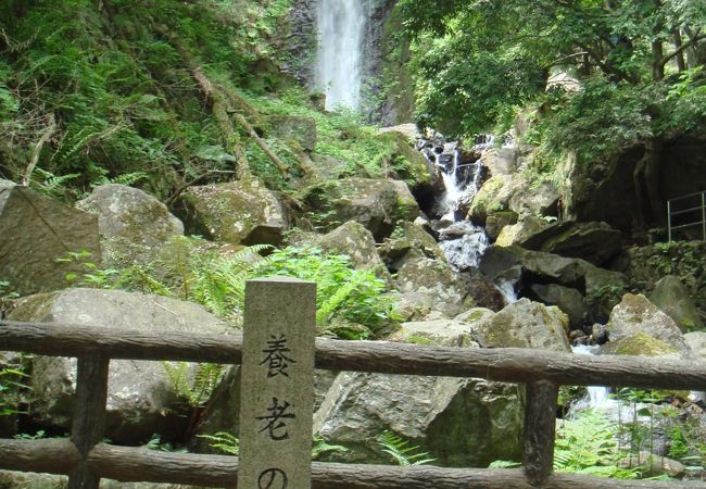 養老の滝