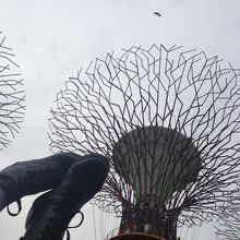 芝生に寝転がってみた風景