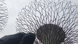 近代的な植物園