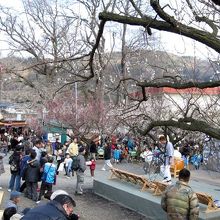 別所梅林「梅まつり」