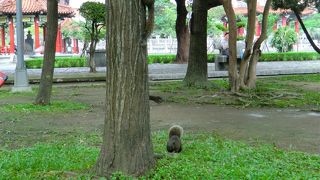 お菓子とドリンクをもって