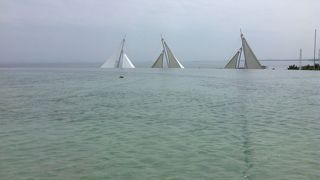 葛西臨海公園に行ったら是非！東京都葛西臨海水族園