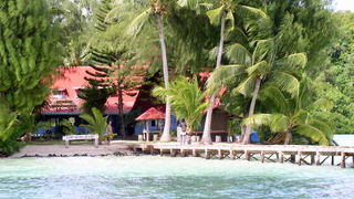 緑の海が印象的