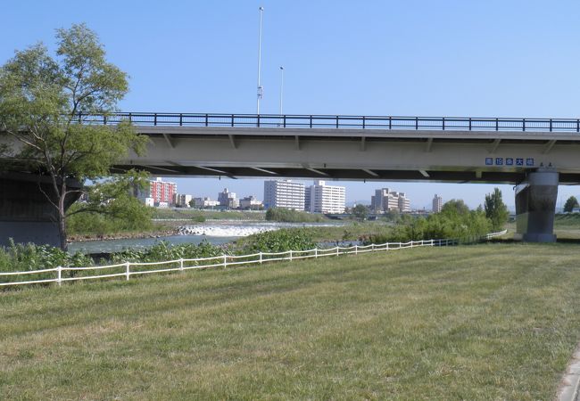 周辺に緑が多い南19条大橋 