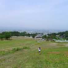 オートサイトからの眺望、砺波平野の散居村