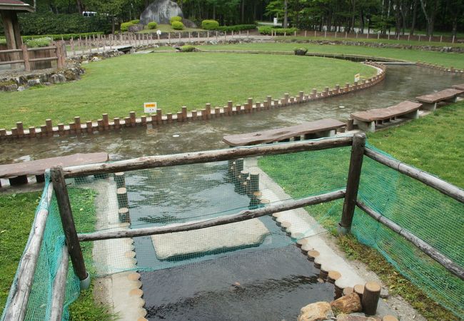 日向山高原で足湯