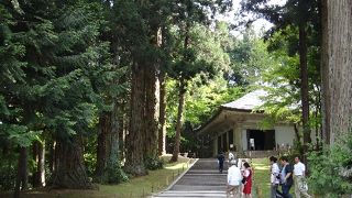 申し訳ないけど…