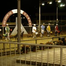 出走前のひとコマ