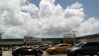 運が良ければ掘り出し物があるかも