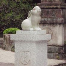 ちゃんと目が赤いです