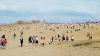 鳥取砂丘に行ってきた!!