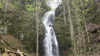 奥入瀬渓流の滝NO.2
