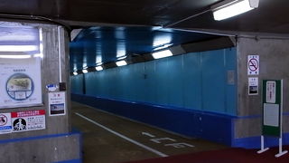 ネタとして通ろう