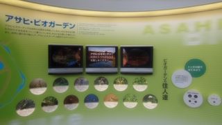 ビールがおいしかったです