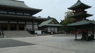 大本堂目の前に・・