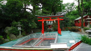 池に鳥居がありました。